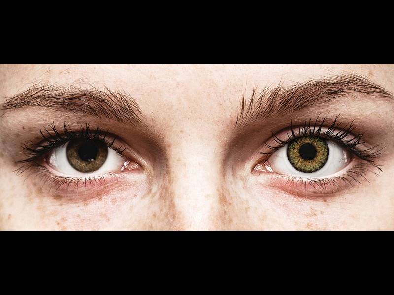 FreshLook One Day Color Pure Hazel - Διοπτρικοί (10 φακοί)